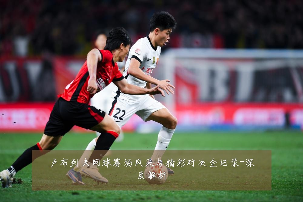 卢布列夫网球赛场风采与精彩对决全记录-深度解析