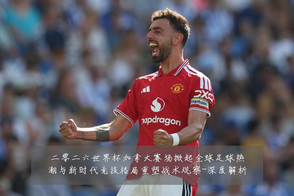 二零二六世界杯加拿大赛场掀起全球足球热潮与新时代竞技格局重塑战术观察-深度解析